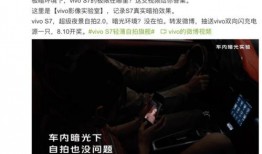 鸟叔粉丝群爆料视频,揭秘明星幕后生活片段