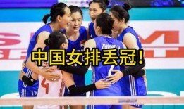 中国队主厨爆料视频大全,烹饪艺术背后的故事与技巧